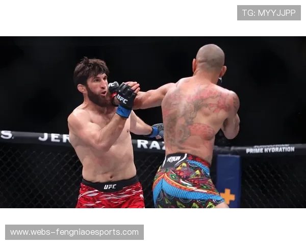 安卡拉耶夫判定击败佩雷拉，强势夺得UFC轻重量级冠军