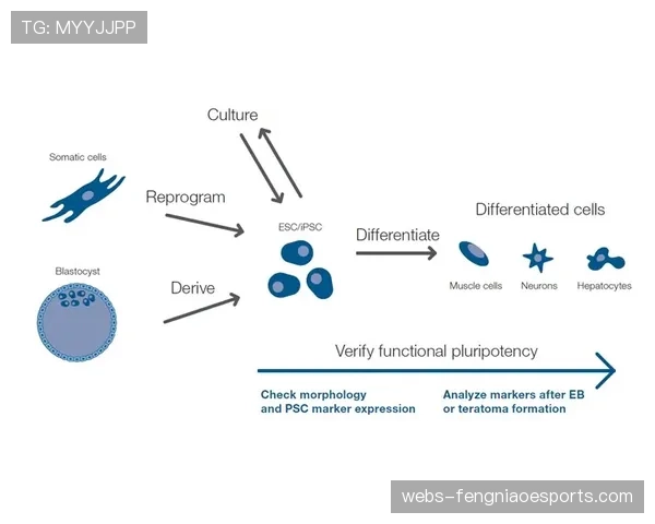 联盟办公室三月备忘录：重申对“hand-check”规则的判罚尺度，以维持比赛流畅性